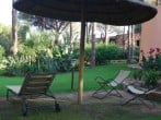 Chairs in garden Chairs in garden